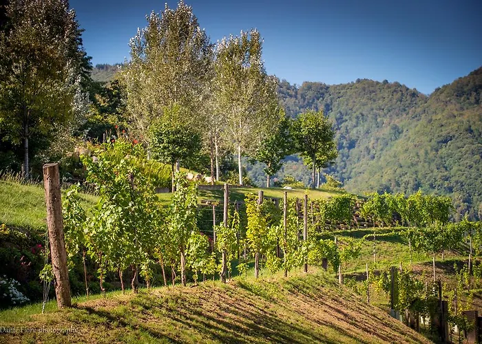 Podere La Torre * 스키오